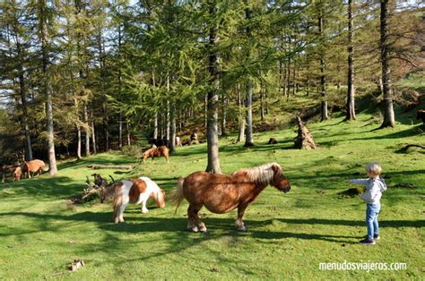 visitar navarra con niños|NAVARRA CON NIÑOS. Paseos para。